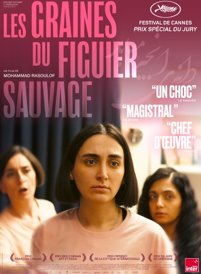 神圣无花果之种