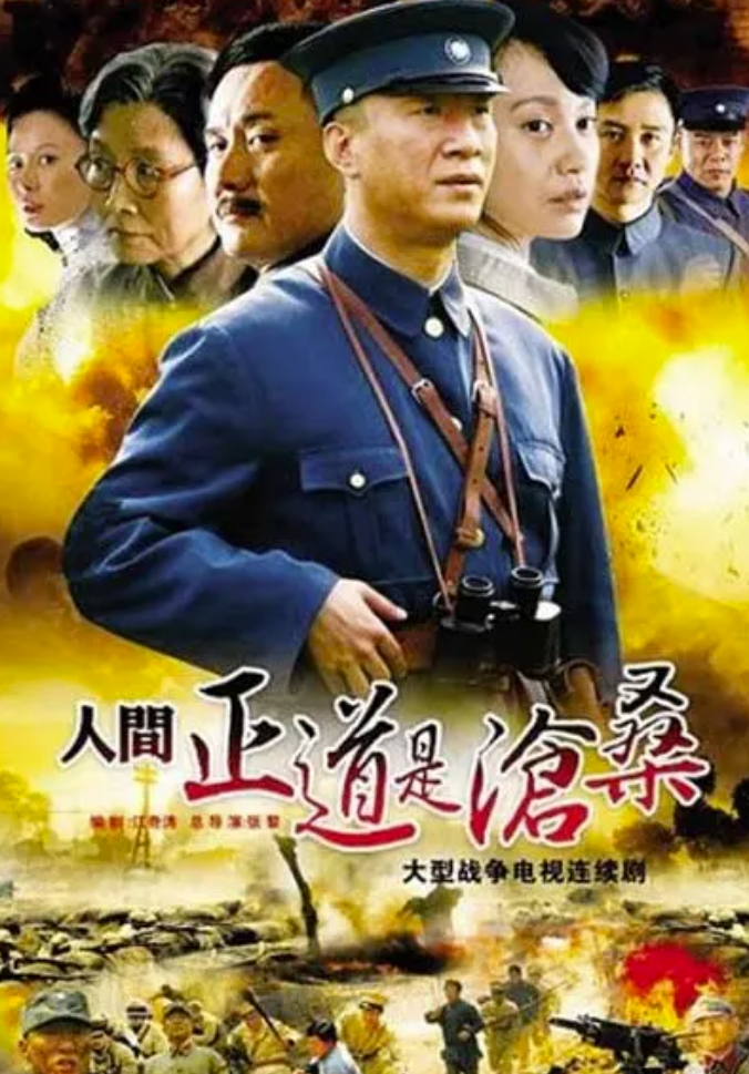 人间正道是沧桑（2009）