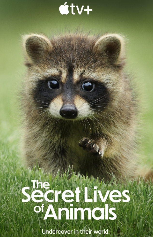 动物的秘密生活