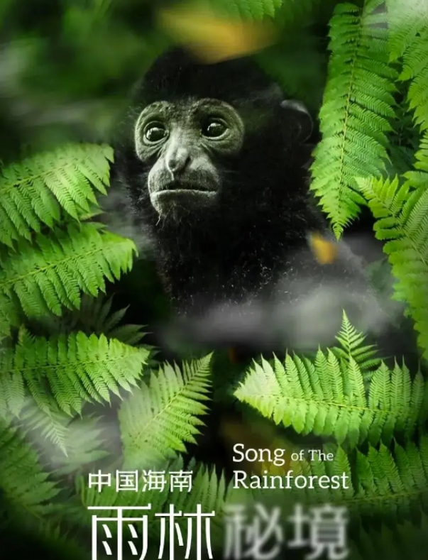 《中国海南·雨林秘境》