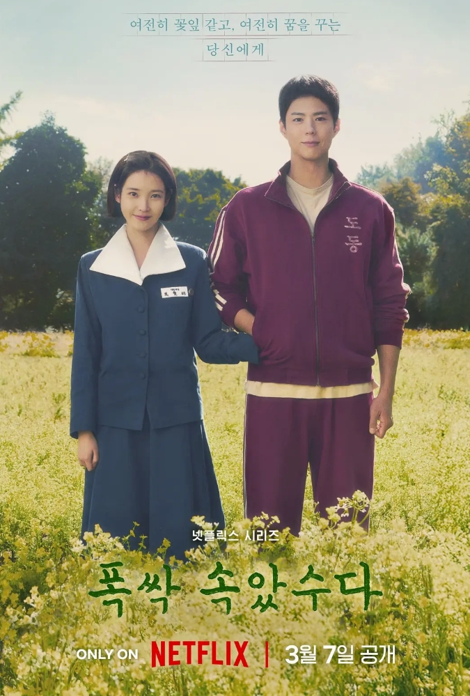 苦尽柑来遇见你