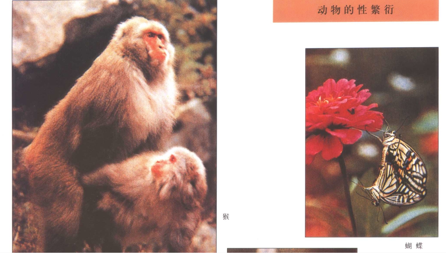 中国性科学百科全书