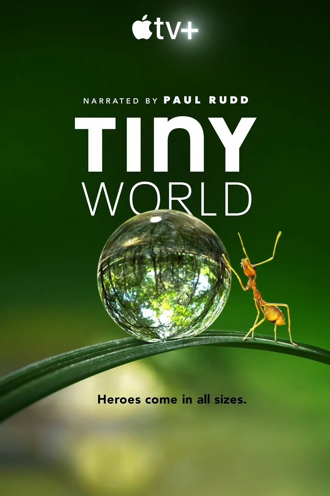 小小世界 第一季 Tiny World Season 1 (2020)