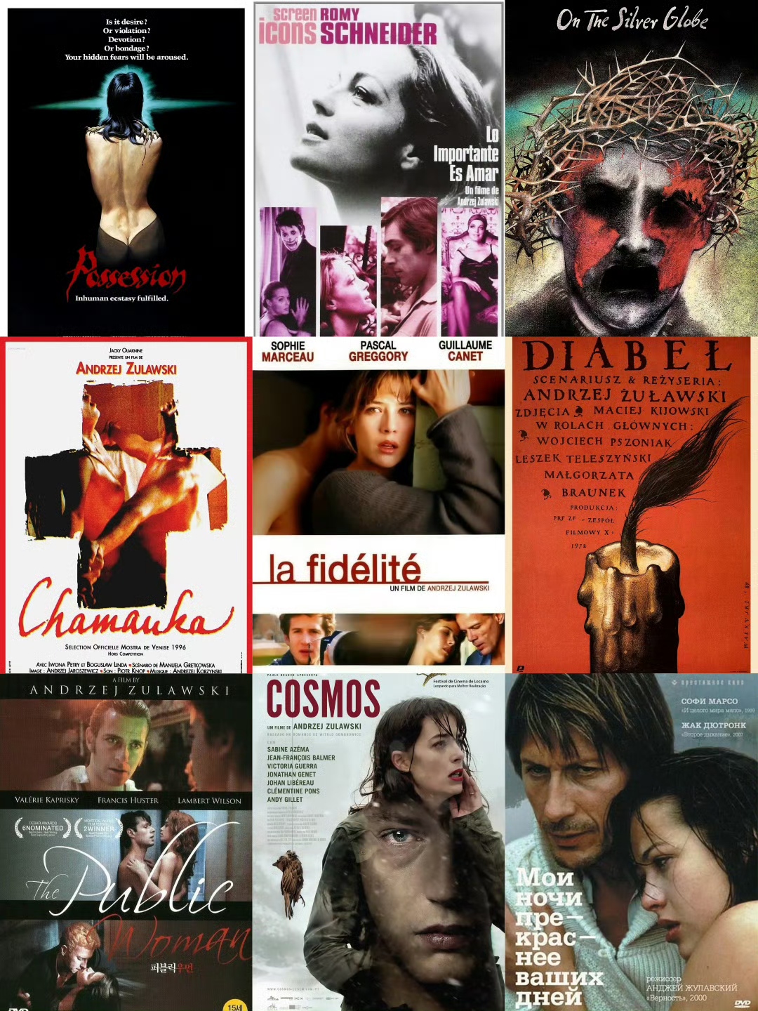 安杰伊·茹瓦夫斯基 作品合集 共12部